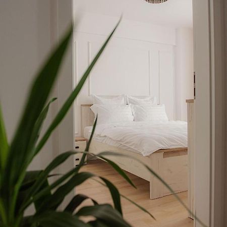 Modern Apartment In Timisoara Bagian luar foto