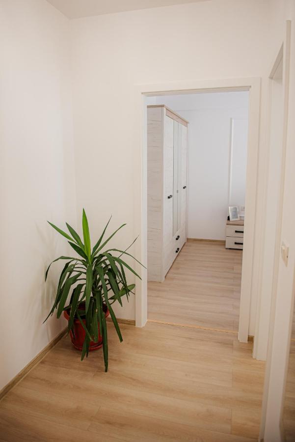 Modern Apartment In Timisoara Bagian luar foto