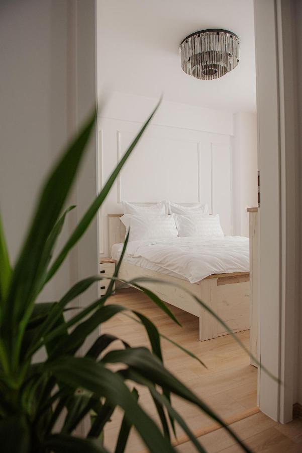 Modern Apartment In Timisoara Bagian luar foto